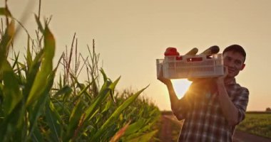 Genç bir çiftçinin mısır tarlasının yanında yürürken içi taze sebzelerle dolu ağır bir sandık taşıdığı görülüyor. Batan güneş sahne üzerinde sıcak bir parıltı saçıyor, çiftçilerin kararlı olduğunu vurguluyor.