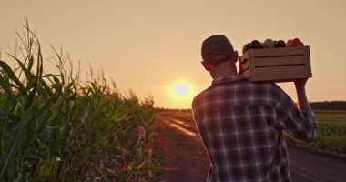 Arka manzara: Bir çiftçi mısır tarlasıyla çevrili bir köy yolunda yürüyor, taze sebzelerle dolu bir sandık taşıyor. Batan güneş, sahnenin üzerine sıcak, altın bir ışık saçıyor.