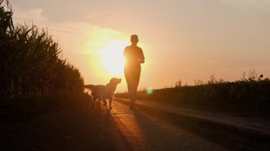 Kadın bir çiftçi silueti, çarpıcı bir günbatımında köpeğiyle birlikte geniş tarlalarda yürürken yakalanır. Görüntü, kırsal yaşamın sakinliğini ve basitliğini somutlaştırıyor.