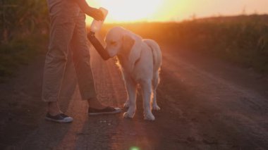 Bir çiftçi özel tasarlanmış bir şişe kullanarak Golden Retriever 'ına su verirken dikkatle görülüyor. İmaj, çiftçi ile evcil hayvanı arasındaki bağı gözler önüne seriyor.
