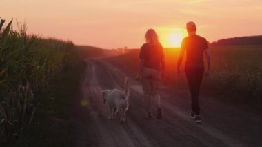 Bir çift çiftçi gün batımında bir mısır tarlası boyunca, Golden Retriever 'ları yanlarında koşarken huzurlu bir yürüyüşün tadını çıkarıyorlar. Sahne, kırsal yaşamın sakinliğini yansıtıyor, güçlüleri vurguluyor.
