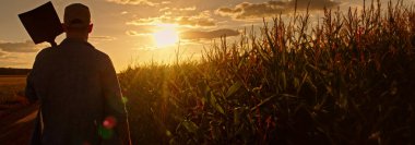 Bir çiftçinin, altın bir günbatımında mısır tarlası boyunca yürürken çekilmiş geniş bir fotokopi alanı görüntüsü. O, bir günlük sıkı çalışmayı yansıtan bir tarım aletini omuzunda taşır. Sıcak güneş ışığı