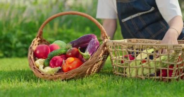 Arka bahçedeki yeşil çimlerde oturan genç bir kız taze sebzeleri dokuma sepetlere dikkatlice ayırıyor. Sahne, hasat zamanının basitliğini ve neşesini yakalıyor.