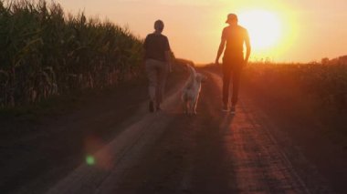 Bir çiftçi çift gün batımında mısır tarlası boyunca yan yana yürür. Golden Retriever 'ları neşeyle yanlarında koşar. Sahne, kırsal yaşamın huzuru ve aradaki bağlantıyı vurguluyor.