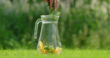 Bir evin arka bahçesinde, malzemeler ferahlatıcı ev yapımı limonata yapmak için hazırlanıyor ve karıştırılıyor, serin ve hoş bir açık hava manzarası sergileniyor yaz içecekleri için ideal.. 