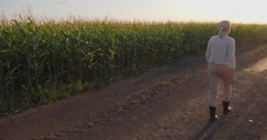 Orta yaşlı bir kadın çiftçi, sıcak bir yaz akşamında güneşin batışının altın ışığıyla bir mısır tarlası boyunca yürür. Uzun mısır bitkileri dingin ve görkemli olur.