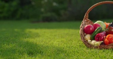 Taze mevsimlik sebzelerle dolu dokuma sepet canlı yeşil bir çimenliğe yerleştirilir. Renkli ürün çeşitliliği hasatın bolluğunu ve tazeliğini ön plana çıkarıyor.