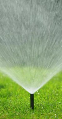 Birkaç fıskiyeler yemyeşil çimenleri sulayarak parlak güneş ışığında parlak bir su damlası sisi oluşturuyor. Canlı sahne canlandırıcı ve iyi korunmuş bir atmosferi yakalar.