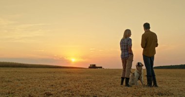 Çiftçi bir çift gün batımında bir tarlada duruyor, köpekleri yakınlarda otururken sohbet ediyorlar. Uzakta, bir biçerdöver hasatı bir araya toplar ve aradaki yakın ilişkiyi vurgular.