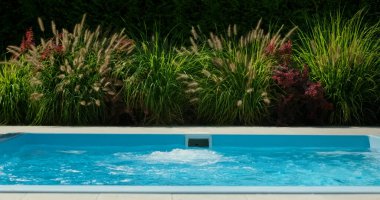 A crystal-clear swimming pool features gently bubbling water, providing a serene and refreshing atmosphere. The pool is bordered by lush, ornamental grasses and plants, creating a tranquil and clipart