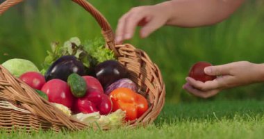 Bir çiftçi hasır bir sepetten canlı, taze sebzeler çıkarır ve yerel kaynaklı organik ürünlerin özünü somutlaştırır. Bu resim tarladan sofraya uygulamaların önemini yakalar