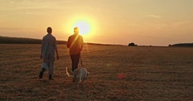 Batan güneşin sıcacık parıltısına karşı siluetlenmiş çiftçi bir çift, köpekleriyle birlikte hasadın toplandığı bir tarlada yürüyor. Huzurlu manzara kırsal yaşamın özünü yakalıyor.