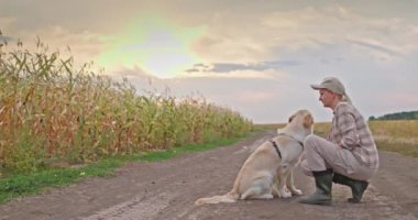 Bir kadın çiftçi, Golden Retriever 'ıyla oturur ve hasat zamanı gelmiş bir mısır tarlasının önünde köpeği sevgiyle okşar. Sahne, çiftçi ile evcil hayvanı arasındaki bağın altını çiziyor.