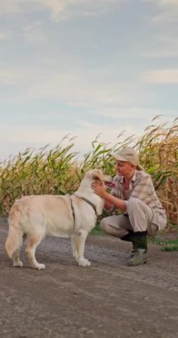 Bir kadın çiftçi, kırsal hayatın tatlı ve basit zevklerini somutlaştıran bir mısır tarlasının yanında köpeğiyle oynaşmaktan zevk alır. Altın mısır tarlası arka planda usulca sallanarak huzur yaratıyor.