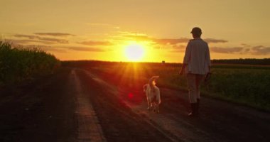 Bir kadın çiftçinin silueti, resmedilmeye değer bir günbatımının sıcak ve altın renkleriyle aydınlatılmış geniş tarlalarda köpeğiyle birlikte yürürken görülüyor. Huzurlu kırsal ortam huzuru vurguluyor