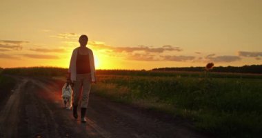 Bir dişi çiftçi gün batımında geniş tarlalarda yürürken görülüyor, köpeği neşeyle yakınlarda koşuyor. Batan güneşin altın rengi, manzaranın üzerine sıcak bir ışık saçıyor.