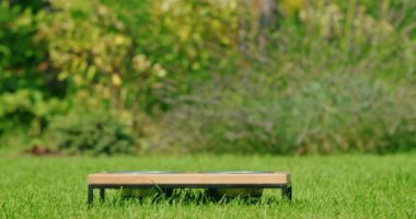 Bir Golden Retriever, enerji ve heyecan dolu arka bahçesindeki yemek kasesine doğru yeşil bir çimenlikte yarışıyor. Kaseye ulaşır ulaşmaz, köpek yemeğini hevesle yer ve sağlıklı olduğunu gösterir.