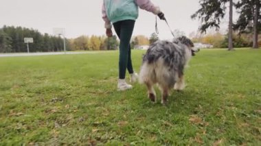 Bir çocuk sonbahar parkında tasmalı bir çoban köpeğiyle yürüyor..