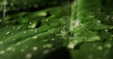 Yağmur damlalarına yakın çekim, yeşil bir çarşafın üzerine düşmek. 4k video