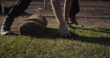 Bir grup işçi evin bahçesine yuvarlanmış bir çim seriyor..