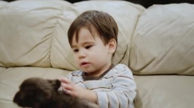 Çocuk köpeği öpüyor ve fırlatıp atıyor. Hayvanlı komik videolar