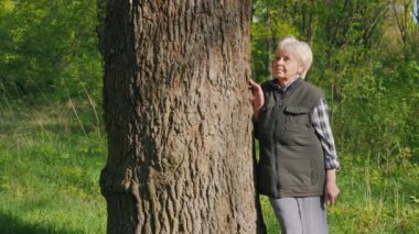 Bir portre, ormanda yürürken büyük bir ağacın gövdesine yaslanan yaşlı bir kadını tasvir ediyor.