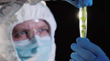 Portrait of a focused scientist, looks at a test tube with a sample of a plant. Genetic research concept.