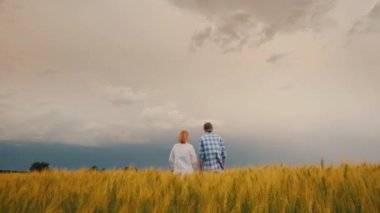 İki çiftçinin siluetleri buğday tarlası boyunca yürüyor, güçlü bir rüzgar tarafından sallanıyor..