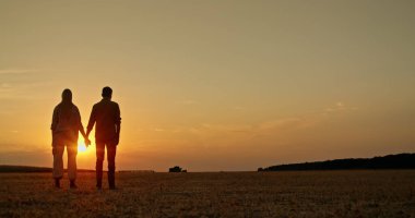 Genç bir çiftçi çifti altın bir günbatımında bir tarlada el ele tutuşuyor. Arka planda, bir kombine ekinleri toplamak için çalışır. Sahne, doğa, tarım ve...