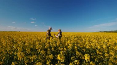 Çiçek açan bir kolza tohumu tarlasında, iki çiftçinin sıkı çalıştığı görülüyor.