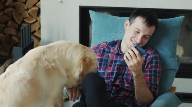 Oyuncu bir Golden Retriever dikkat çekmek ve oyun oynamak için sahibinden bir akıllı telefon çalmaya çalışır. Komik bir hayvan videosu..