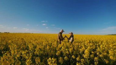 Çiçek açan bir kolza tohumu tarlasında, iki çiftçinin sıkı çalıştığı görülüyor.