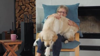 Son sınıf öğrencisi bir kadın gülüyor ve gülüyor. Oyunbaz Golden Retriever 'ı kucağına tırmanıyor ve çocukluk anılarını canlandırıyor.