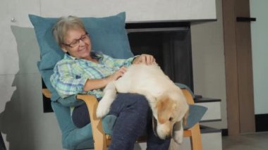 Yaşlı bir kadın gülüyor ve kucağına çıkan tatlı bir Golden Retriever besliyor. Yavru köpek günlerini anlatıyor. Yüksek kalite 4k görüntü