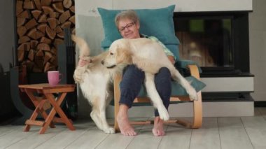 O şöminenin başında otururken kucağına yuva yapmış büyük Golden Retriever 'ıyla oynayan neşeli son sınıf öğrencisi kadın. Evcil hayvanlarla iç açıcı anlar. Yüksek kalite 4k görüntü