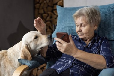 Sandalyede oturan yaşlı bir kadın yanında Golden Retriever 'la akıllı telefon kullanarak sıcak ve dostane bir atmosfer yaratıyor. Yüksek kalite fotoğraf