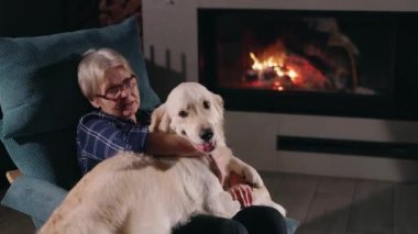 Parlayan bir şöminenin yanındaki rahat koltukta dinlenen tatlı, yaşlı bir kadın kucağında büyük bir Golden Retriever tutuyor, neşeli bir köpek yavrusu gibi davranıyor. İnsanın içini ısıtan evcil hayvan anları. Yüksek kalite 4k görüntü