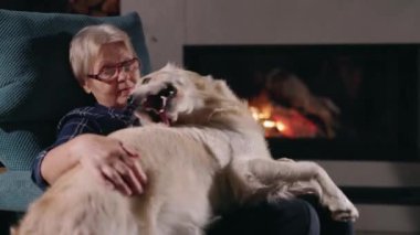 Kucağında büyük bir Golden Retriever ile, parlayan bir şöminenin yanındaki rahat koltukta oturan kibar, yaşlı bir kadın, neşeli bir köpek yavrusu gibi davranıyor. Sevimli hayvan anları