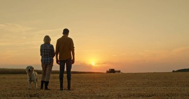 İki çiftçi, yanlarında Golden Retriever 'larıyla birlikte engin bir tarlanın üzerinde gün batımını izliyorlar. Uzakta, bir biçerdöver hasat toplamakla meşgul. Sahne çekilir.