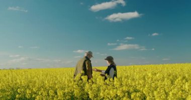 Sevgi dolu bir çift, güzel sarı bir tarlada geziniyor, günün saf mutluluğunu kucaklıyor.