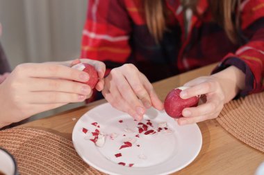 Two people peeling red dyed Easter eggs over a white plate, with broken eggshell pieces scattered across the surface. High quality photo clipart