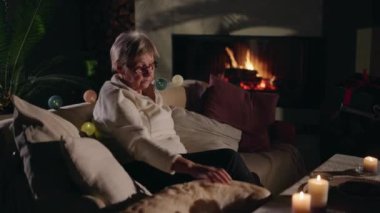 Yaşlı bir kadın köpeğiyle birlikte şöminenin başında dinleniyor. Oturma odasında huzurlu ve rahat bir anın tadını çıkarıyor. Yüksek kalite 4k görüntü