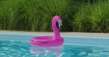 Pembe şişme flamingo havuzu, güneşli bir yaz gününde yemyeşil çimlerle çevrili, açık mavi bir havuzda yüzüyor. Yüksek kalite 4k görüntü