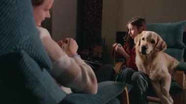 Bir Golden Retriever şöminenin önünde sıcak ve rahat bir atmosfer yaratırken rahat bir sandalyede oturmuş örgü ören bir kız. Yüksek kalite 4k görüntü