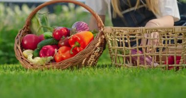 Genç bir kız, patlıcan da dahil olmak üzere taze sebzeleri dışarıdaki yeşil çimlerin üzerinde otururken hasır sepetten başka bir konteynıra aktarıyor. Yüksek kalite 4k görüntü