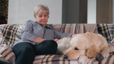 Yastıklı bir salıncakta, yanında duran köpeği nazikçe okşayan yaşlı bir kadın. Yumuşak battaniyeli, kapalı bir ortam. Yüksek kalite 4k görüntü