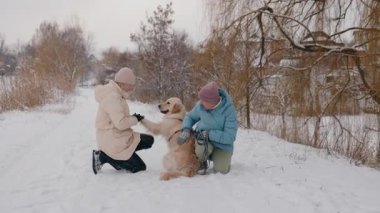 Yaşlı bir kadın ve yetişkin kızı donmuş bir gölün yanında kış yürüyüşü sırasında karda bir Golden Retriever ile oynuyorlar. Yüksek kalite 4k görüntü