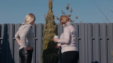 Orta yaşlı bir kadın ve yaşlı annesi arka bahçede durmuş, sarılı thuja ağaçlarını tartışıyorlar. Yaşlı kadın bir fincan tutarken, genç olan konuşmaları sırasında el kol hareketi yapıyor. Yüksek kalite 4k