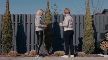 Orta yaşlı bir kadın ve yaşlı bir kadın arka bahçede durmuş, sarmalanmış thuja ağaçlarını inceliyor ve konuşuyorlar. Genç kadın, yaşlı olan kadehini tutarken el kol hareketi yapar. Yüksek kalite 4k görüntü