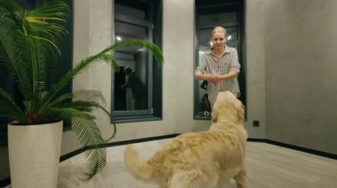Orta yaşlı bir kadın bir Golden Retriever ile eğlenceli bir şekilde dans ediyor, modern bir odada eğlenceli ve neşeli bir anın tadını çıkarıyor. Yüksek kalite 4k görüntü